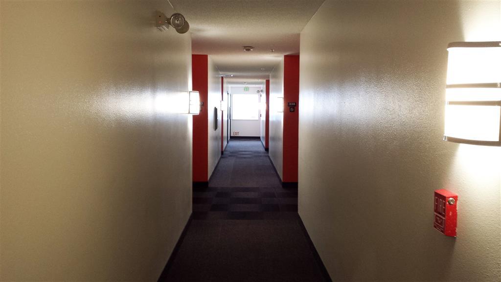 Motel 6-San Antonio, Tx - South 設備 写真